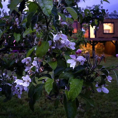 Gradmina Luxury Glamping Villa